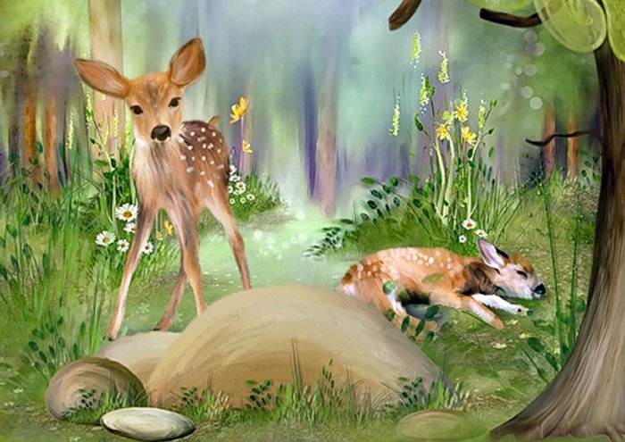 Deer Forest Art Wild Young Deer Cute7